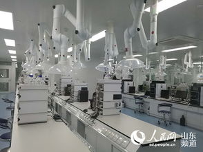 山東羅欣制藥 以創(chuàng)新為翼，打破國外壟斷，引領(lǐng)醫(yī)藥研發(fā)與國際水平同步前行